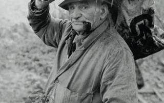 Archie Parkhouse with ivy for sheep, Milhams, Dolton, Devon, 1975 by James Ravilious © Beaford Arts