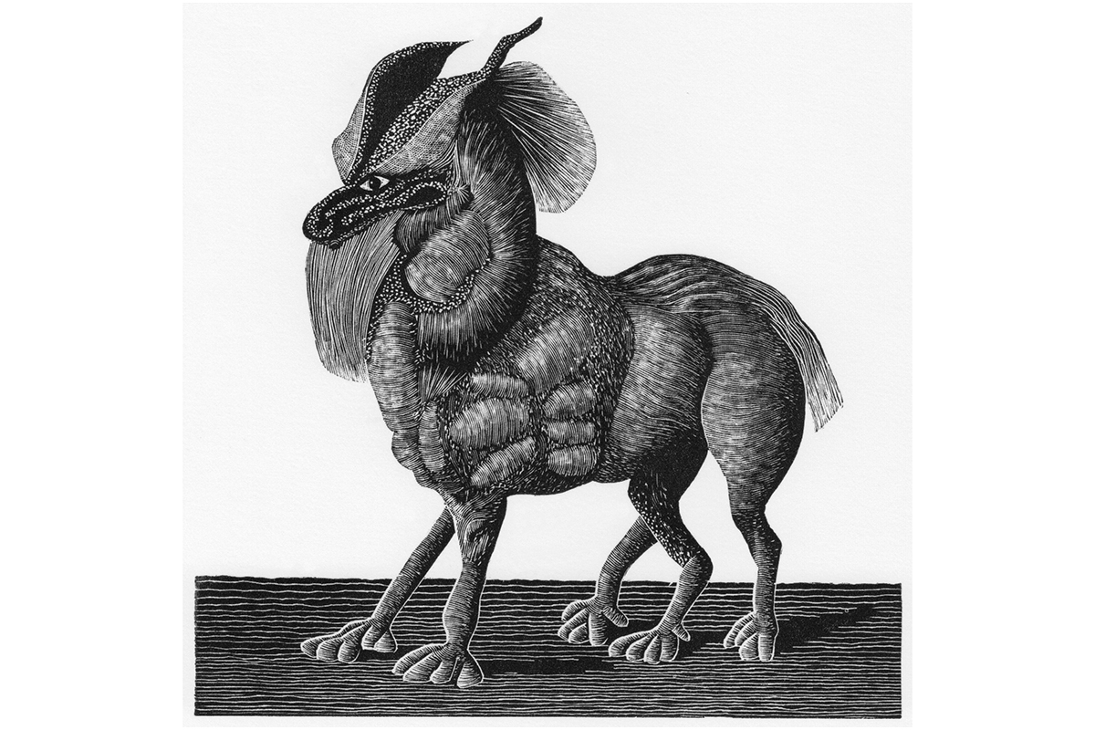 Wood engraving showing fantastical creature with five legs